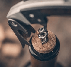 Mladé vína Prietržka 2019